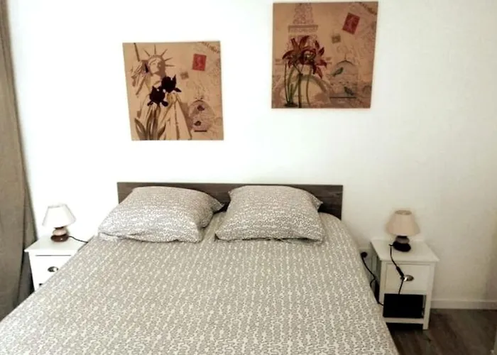 Appartement T2 Idéal étudiant + Pro + Parking Protégé Sous-sol